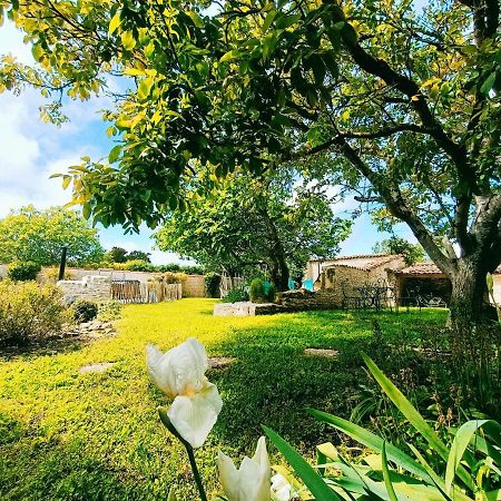 Gite 3 Etoiles Avec Spa, 2 Chambres Le Logis De Pearl Salles-sur-Mer Екстериор снимка